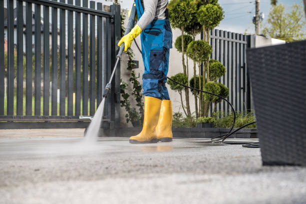 Best Soft Washing for Delicate Surfaces in Portsmouth, VA