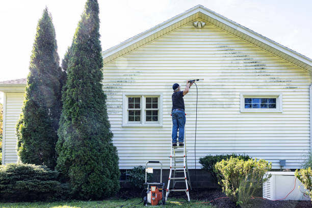 Best Fence Cleaning and Maintenance in Portsmouth, VA